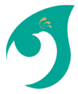 هواپیمایی جی اسکای