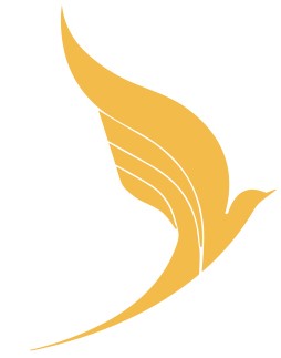 هواپیمایی وارش