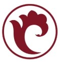 هواپیمایی آتا