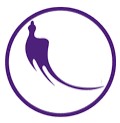 هواپیمایی کارون